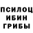 Галлюциногенные грибы прущие грибы Suhrab_Halmuradow