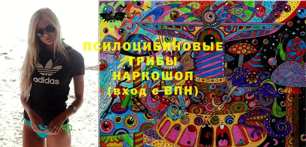 кокс Белокуриха